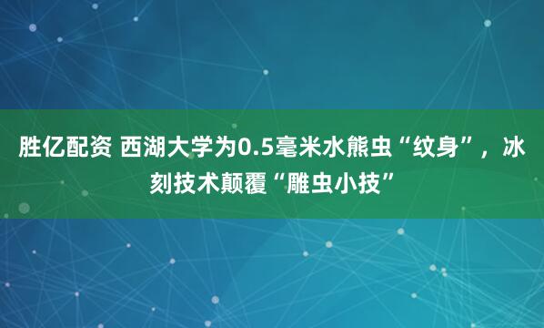 胜亿配资 西湖大学为0.5毫米水熊虫“纹身”，冰刻技术颠覆“雕虫小技”