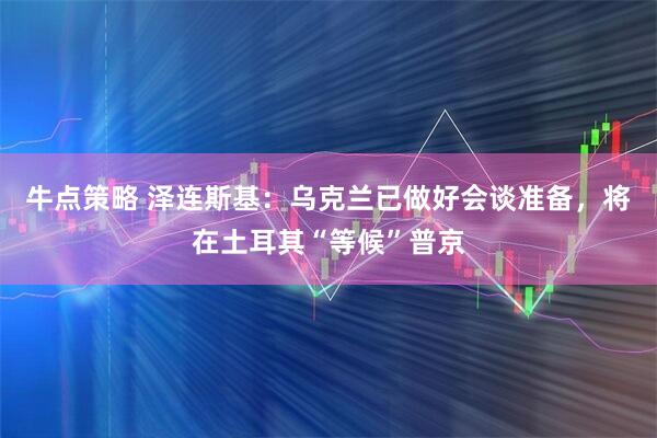牛点策略 泽连斯基：乌克兰已做好会谈准备，将在土耳其“等候”普京