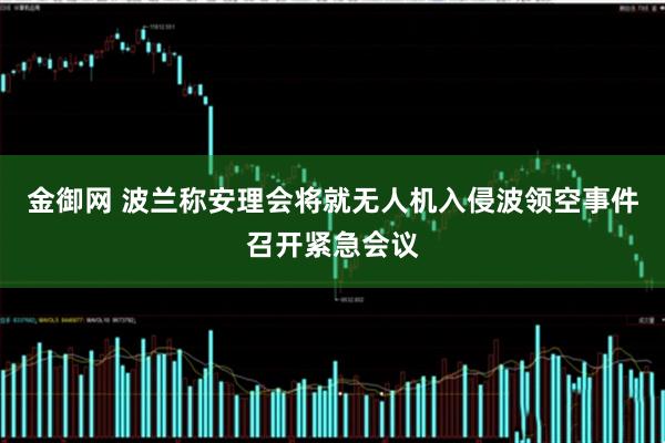 金御网 波兰称安理会将就无人机入侵波领空事件召开紧急会议
