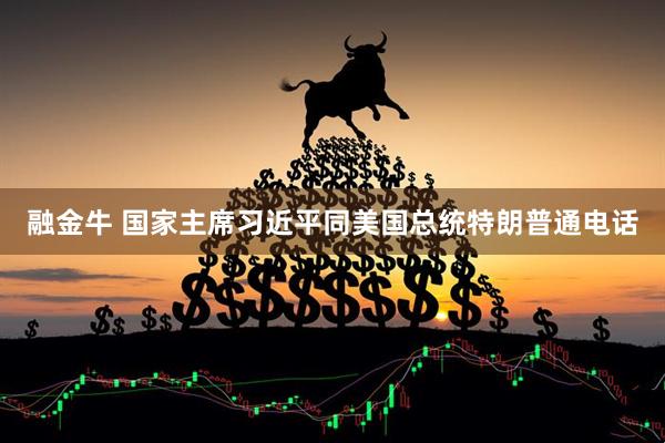 融金牛 国家主席习近平同美国总统特朗普通电话