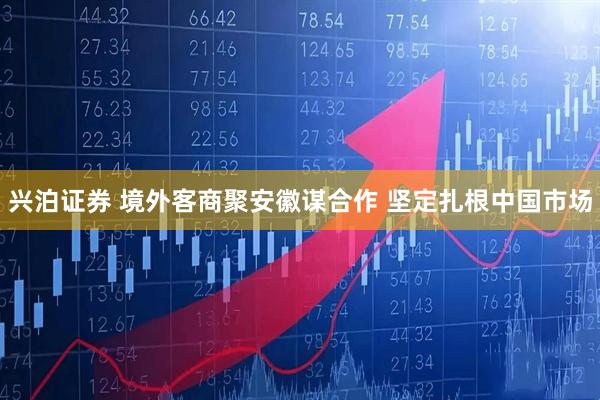 兴泊证券 境外客商聚安徽谋合作 坚定扎根中国市场