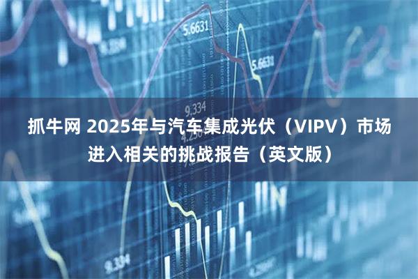 抓牛网 2025年与汽车集成光伏（VIPV）市场进入相关的挑战报告（英文版）